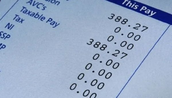 Dollar Tree check stubs